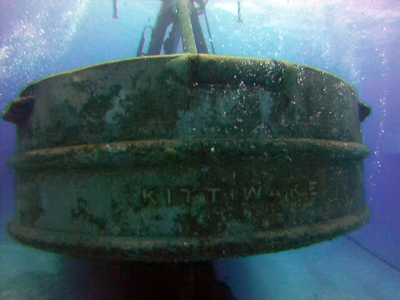 Kittiwake Sterm